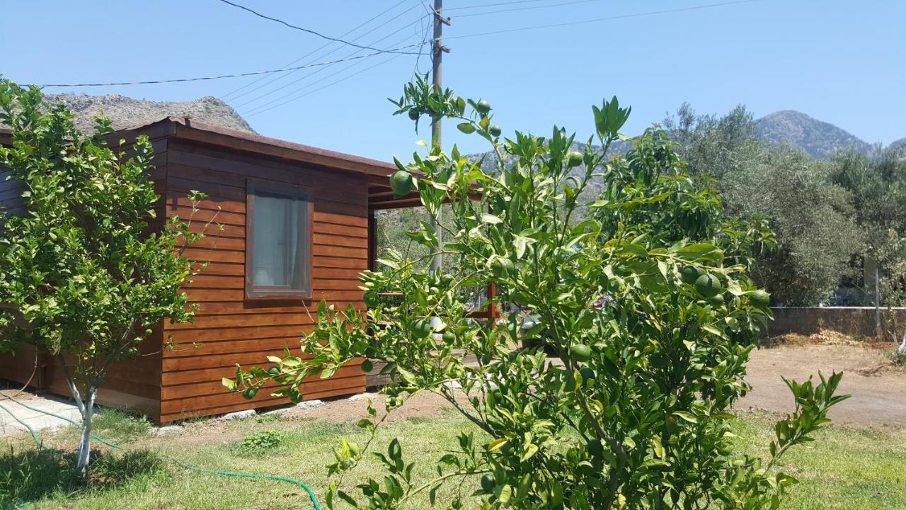 Sakin Vadi Winehouse Bed & Breakfast Orhaniye  Bagian luar foto